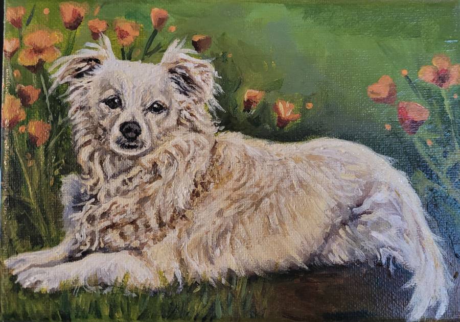 Maggie (white dog)